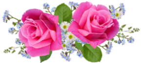 flowers-5443803_1280 (289x130, 87Kb)