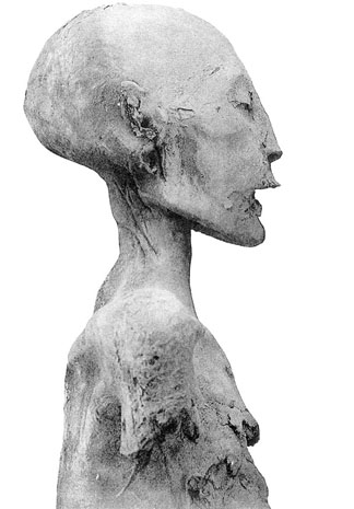Мумия матери Тутанхамона